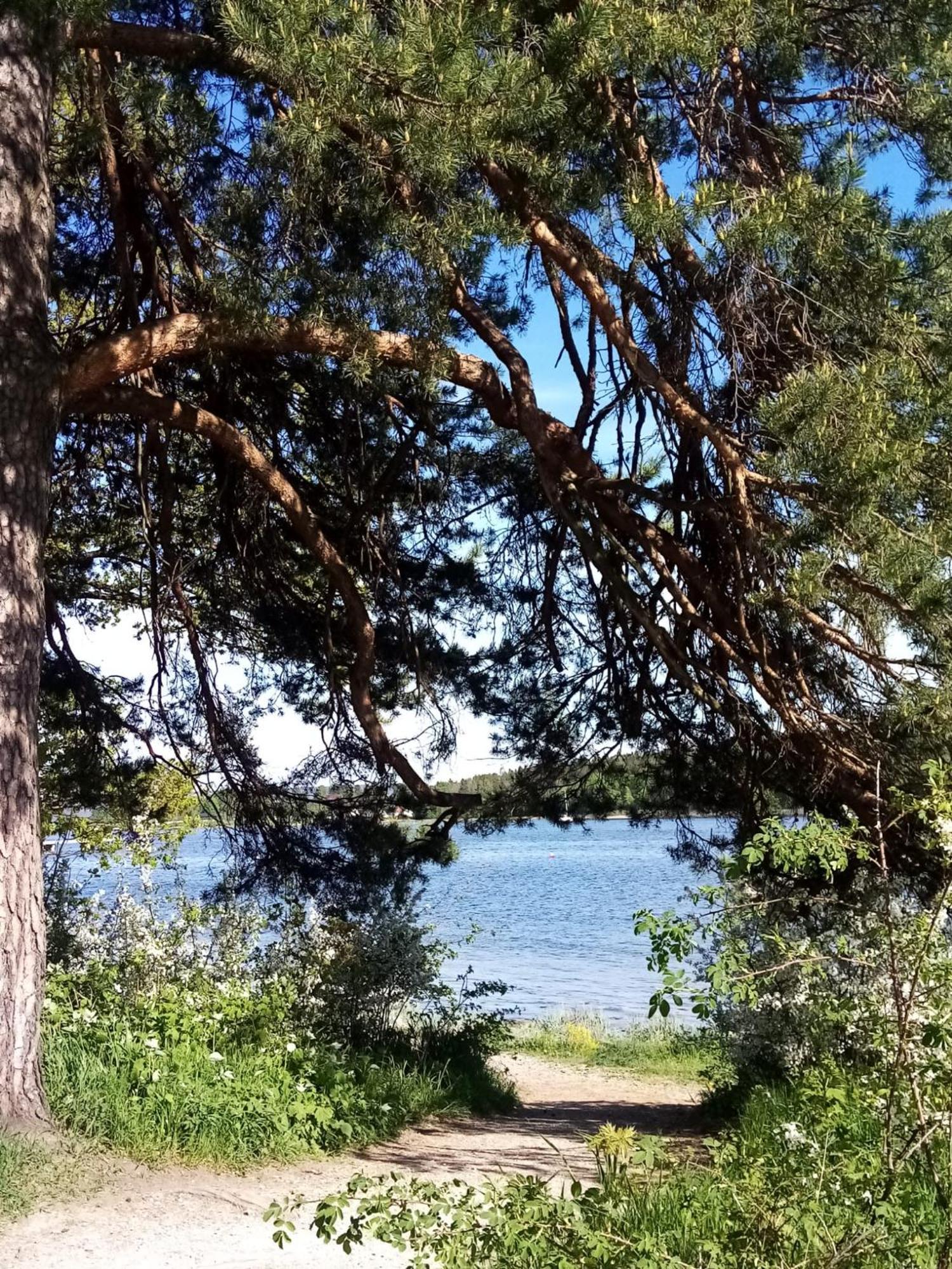 La Casa Marrone Norway Διαμέρισμα Asker Εξωτερικό φωτογραφία